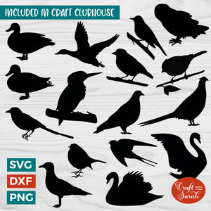 British Bird Silhouette SVGs |  Bird Silhouettes Cutting Files