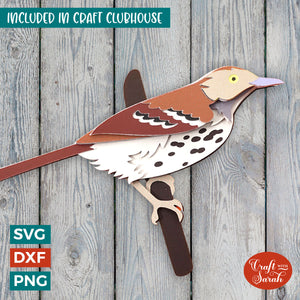 Brown Thrasher Bird SVG | Layered Bird Cutting File