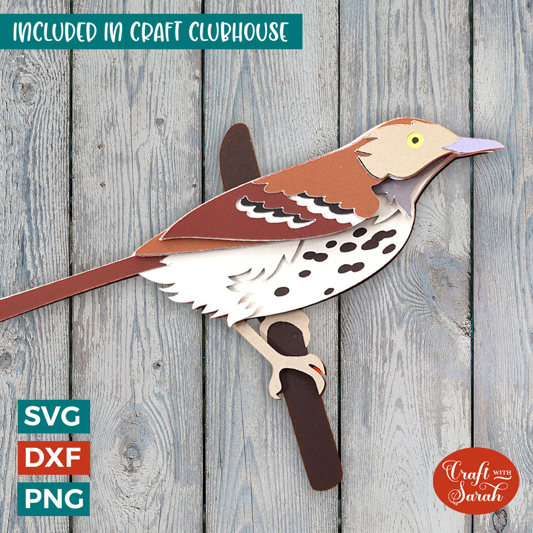 Brown Thrasher Bird SVG | Layered Bird Cutting File