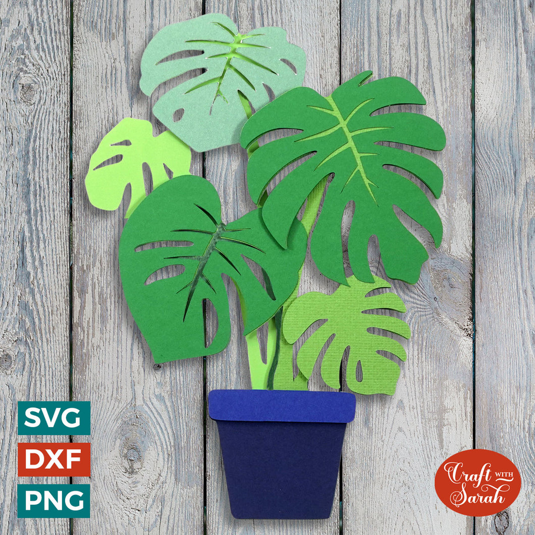 Cheese Plant SVG | Layered Swiss Monstera Cutting File