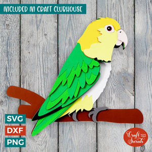 White Bellied Caique SVG | 3D Layered Exotic Bird Cutting File