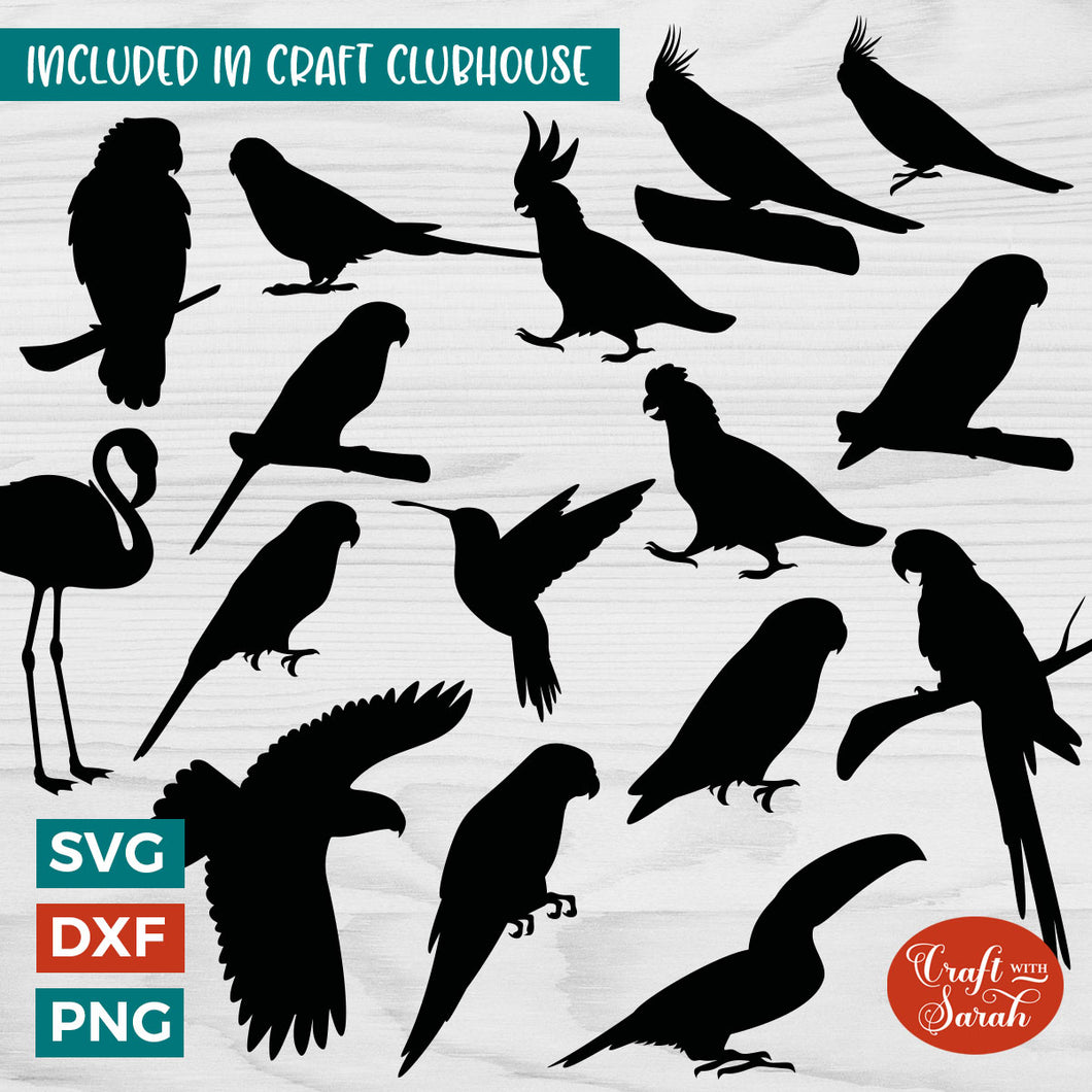 Exotic Bird SVGs |  Exotic Bird Silhouette Cutting Files