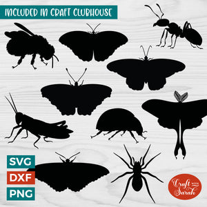 Insect SVGs |  Insect Silhouette Cutting Files