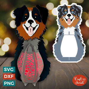 Australian Shepherd Lantern SVG