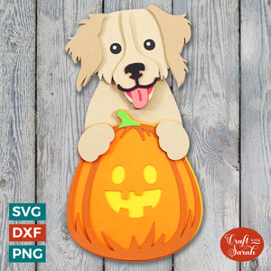 Golden Retriever Pumpkin SVG