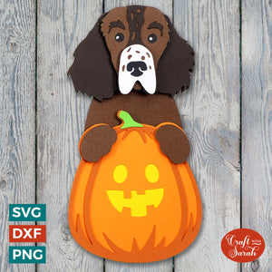 Springer Spaniel Pumpkin SVG | Spaniel Pumpkin for Halloween