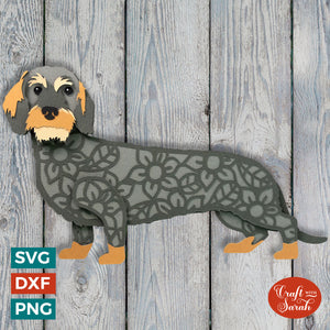 Dachshund (Wire Haired) SVG | Layered Wire Haired Dachshund Cutting File