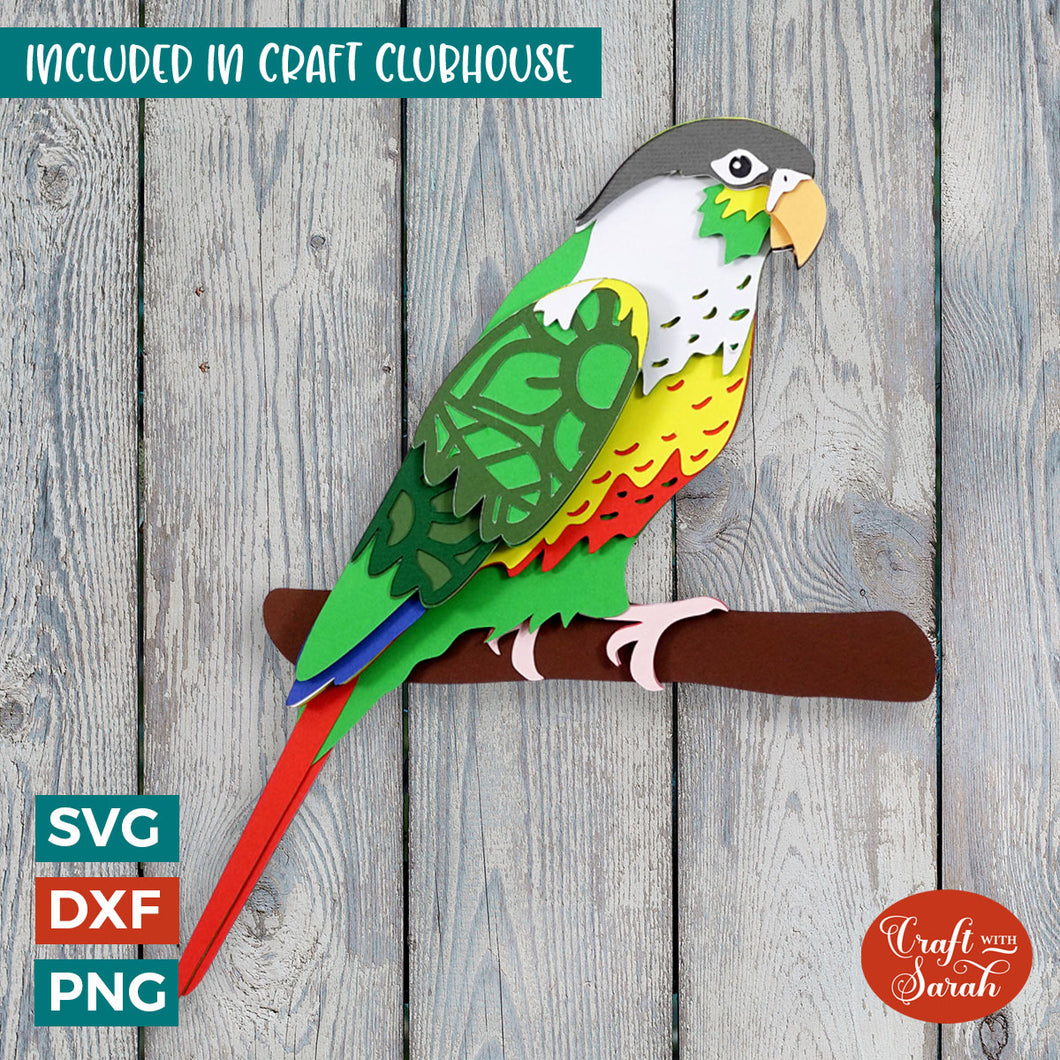 Green Cheeked Conure Bird SVG |  Green Cheeked Conure Bird Cutting File