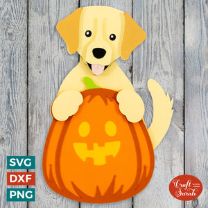 Labrador Retriever Pumpkin SVG | Labrador Pumpkin for Halloween