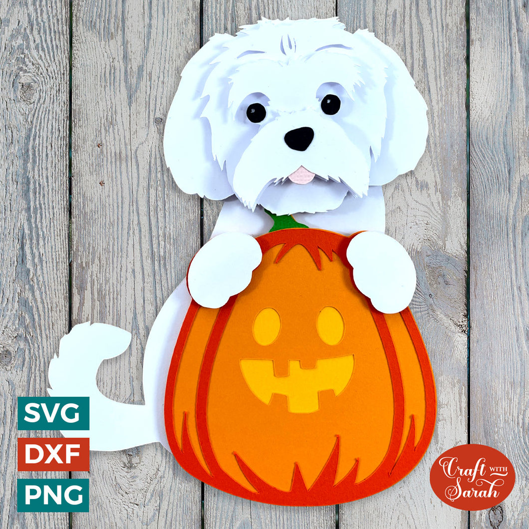 Maltese Pumpkin SVG | Small Fluffy Dog Pumpkin for Halloween