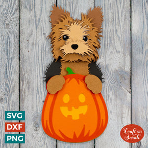 Yorkie Pumpkin SVG | Yorkshire Terrier Pumpkin for Halloween