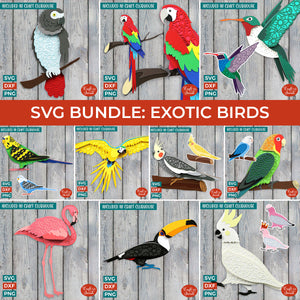 SVG BUNDLE: Layered Exotic Birds